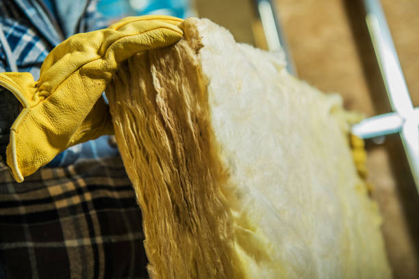 Best Attic Insulation Installation  in North Braddock, PA