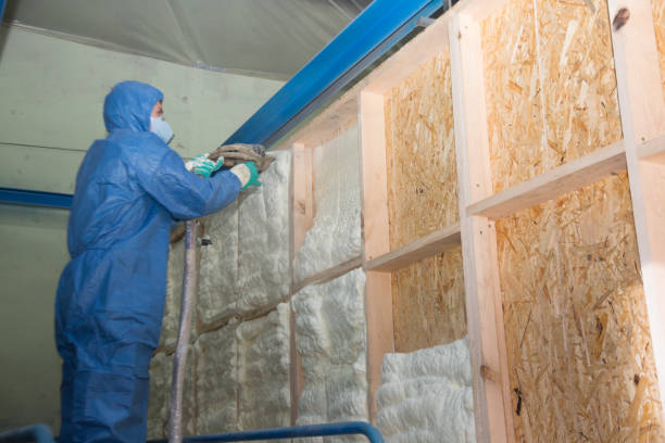 Best Affordable Insulation Services  in North Braddock, PA