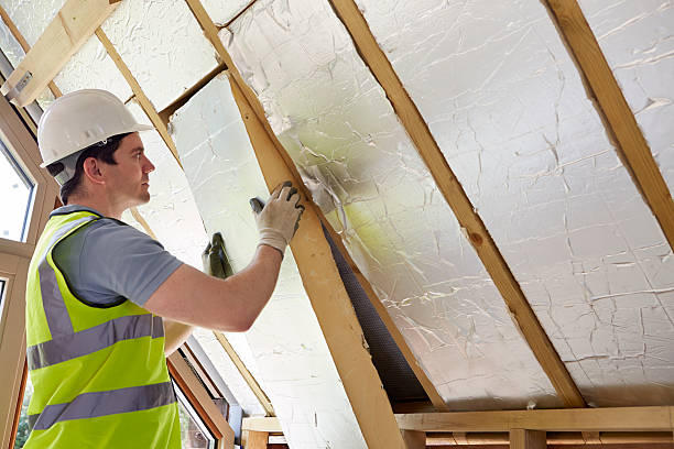 Best Energy-efficient Insulation  in North Braddock, PA