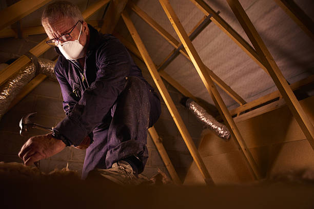 Best Local Insulation Services  in North Braddock, PA